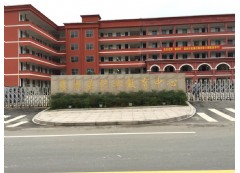 泰順職高高清監控工程4